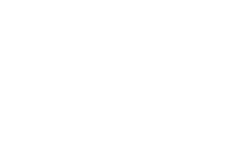 ALAND's logo